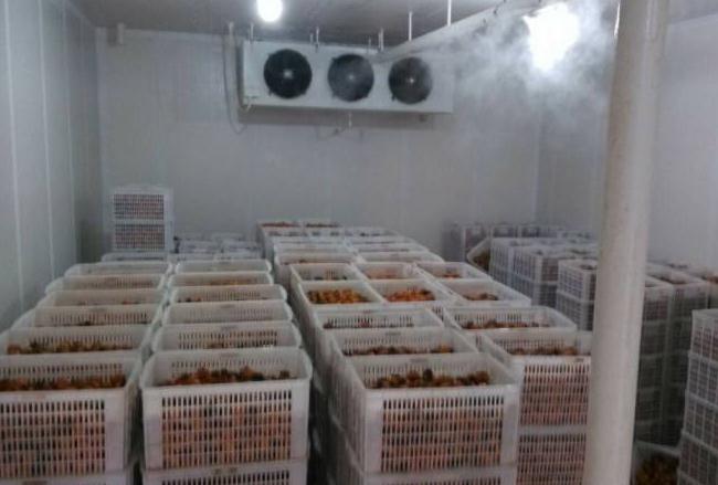 跟著安徽雪坊一起來了解下影響冷庫設備制冷效果的幾個因素吧！
